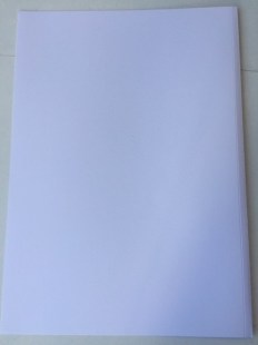 23382-404e9a1f99