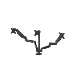 8042601-pt-triple-l-nomon-2020-d1bd6c4f8f