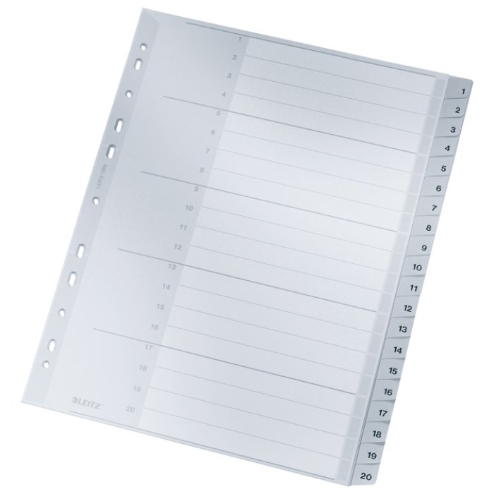 pregrada-plasti-na-leitz-1-20-9d849e6182